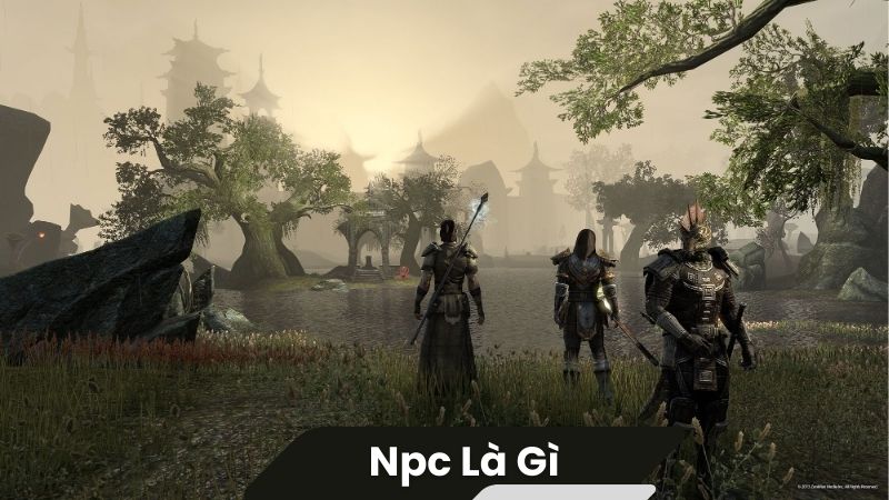 NPC là gì? 2 NPC là gì?